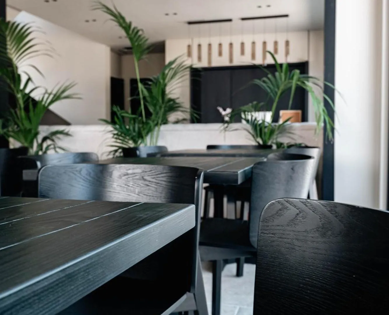 Sondor Hotel Ksamil 4*,  Albania